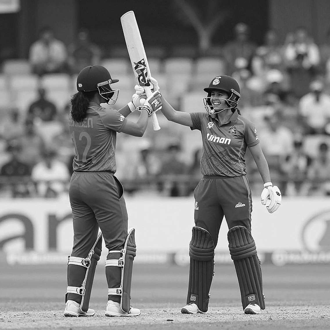 The Empty Dossier: When a Cricket Story Lost Its Own Address